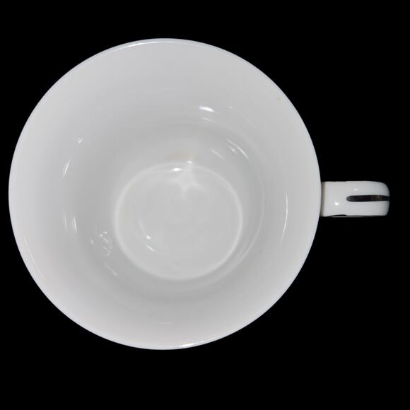 Treasure Chest Lenore No. 7001 Cup & Saucer Set Pink White Flowers Silver Trim - Picture 7 of 9